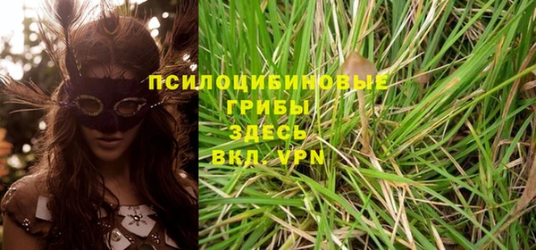 mix Верея